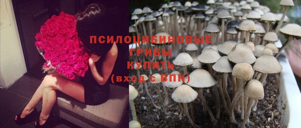 герыч Кинешма